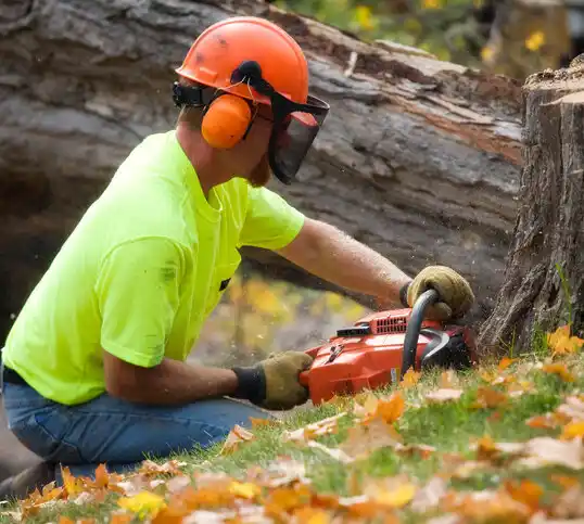 tree services Merritt Park